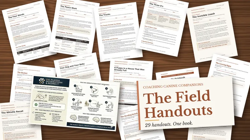 The Field Handouts by Coaching Canine Companions — 29 handouts in one book, shown as printed pages spread across a table